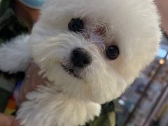 -FAELING PETS美天灵宠物(富力广场店)