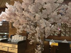 店内布置-樱之盛宴·蟹料理海鲜自助(前进大街店)