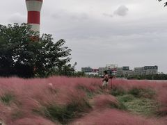 -上海山野camping·户外天幕烧烤·团建拓展营地