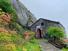 -大围山国家森林公园