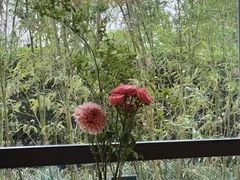 -美盛喜来登大酒店喜舍茶馆