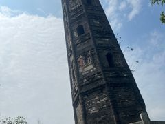 -上海佘山国家森林公园天马山园