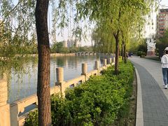 -迎泽公园