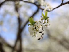 -名花谷生态庄园