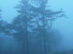 android_upload_pic-大明山自然探索公园