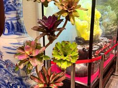 -燕春楼(海河华鼎店)