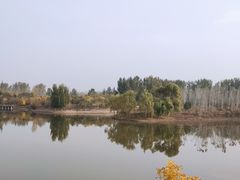 -东郊湿地公园