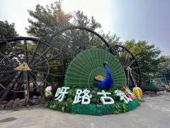 -呀路古热带植物园