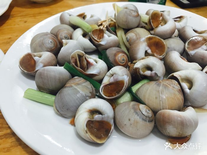宁海饭店盐水玉螺图片 - 第1张