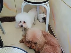 -宾朋海鲜特色美食餐厅·纯手工鲅鱼水饺(兴海路店)