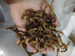 iphone_upload_pic-加顺农场餐厅