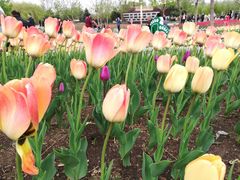 -长春公园(普阳街道)