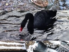 -水磨沟公园