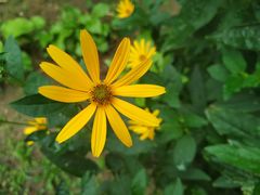 -中国工商银行(北京翠微路支行)