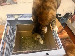 -新荟城(望京店)