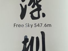 -平安金融中心云际观光层