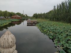 -白洋淀景区