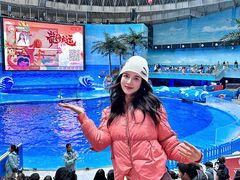-海合安成都极地海洋公园