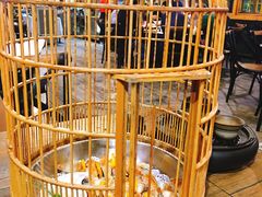 -花溪雨·森林餐厅(石基店)