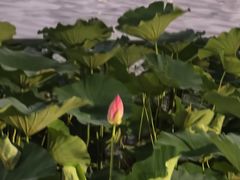 -悦界酒吧(后海店)