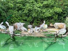 -珠海长隆海洋王国