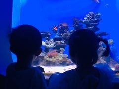 -泉城欧乐堡海洋极地世界