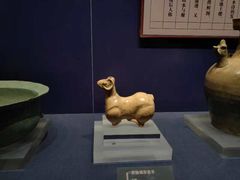 -温州博物馆