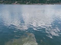 -通辽森林公园