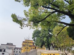 -迎江寺