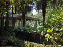 -野蔓果·山野菜(西湖景区·龙井茶田店)