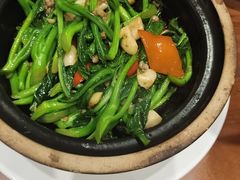 -十六蒲(桂林路店)