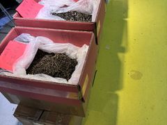-中国农业博物馆