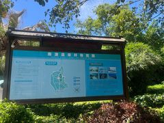 -宋井风景区