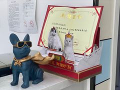 -中农国际动物医院24小时·猫科·骨科·急重症中心