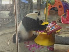 -海南热带野生动植物园