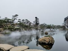 -罗红摄影艺术馆