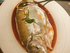 -醉庐·新上海菜(南京西路店)