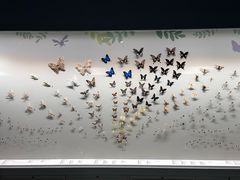 -香港科学馆