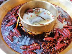 -小龙翻大江文化火锅(宽窄店)