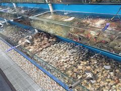 -港畔赶海蒸汽海鲜烧烤自助(仙螺岛店)
