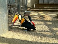 -大连森林动物园