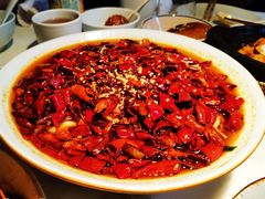 -初蓉丨遇见新川菜(亲贤街荣耀店)