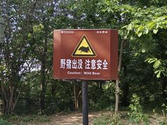 -紫金山山顶公园