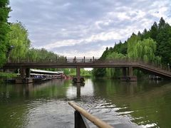 -溱湖国家湿地公园