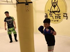 -勇气斑马·巴西柔术&跆拳道(浦东三林店)