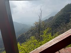 -大岭沟猕猴桃谷风景区