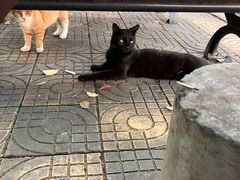 -上海外国语大学(虹口校区)