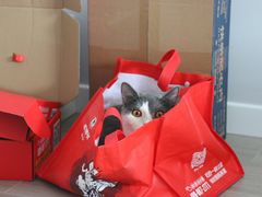 -木屋烧烤(白石洲店)