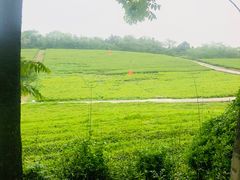 -宜兴龙背山森林公园