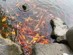 -成都川菜博物馆